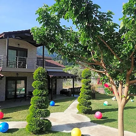 Aelia Hotel Potamia (Thasos)